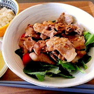 お弁当にぴったり　豚の生姜焼きサラダ